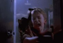 【Cat Raptor】创意gif 巨大的喵星人向我袭来！-GIF发源地