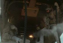 求这个电影的出处-GIF发源地