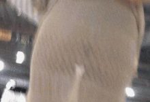 求老司机-GIF发源地