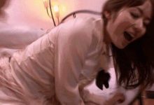 求GIF出处-GIF发源地