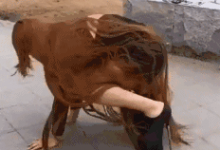 求这个GIF的出处，万分谢谢！！！！-GIF发源地