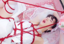 求出处-GIF发源地