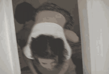 求出处-GIF发源地