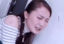 求出处-GIF发源地