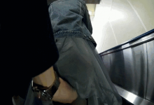 老图求出处-GIF发源地