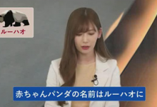 听说很厉害 这个谁知道-GIF发源地