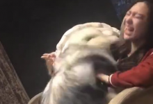 求出处 谢谢各位大神-GIF发源地