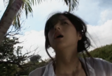 求出处-GIF发源地