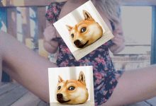 只想求个出处-GIF发源地