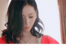 求破案 求车牌-GIF发源地