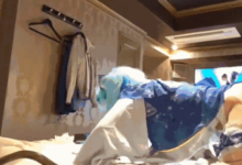 求出处-GIF发源地