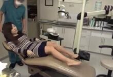 求出处-GIF发源地